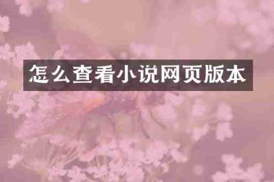 怎么查看小说网页版本