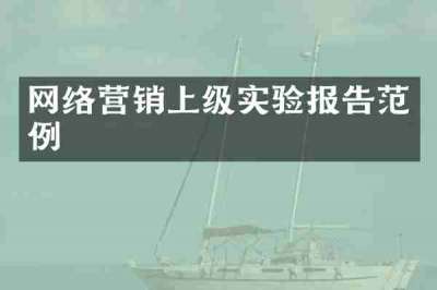 网络营销上级实验报告范例