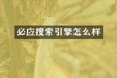 必应搜索引擎怎么样