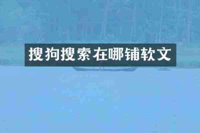 搜狗搜索在哪铺软文