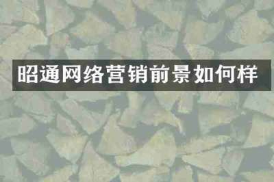 昭通网络营销前景如何样