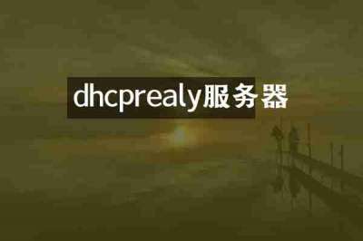 dhcprealy服务器