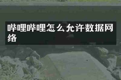 哔哩哔哩怎么允许数据网络