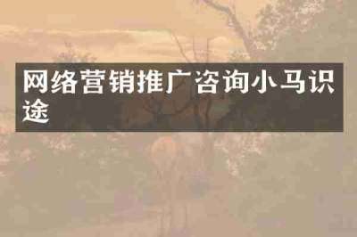 网络营销推广咨询小马识途