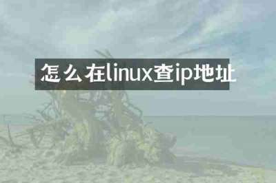 怎么在linux查ip地址