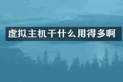 虚拟主机干什么用得多啊