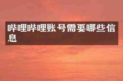 哔哩哔哩账号需要哪些信息