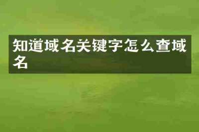 知道域名关键字怎么查域名