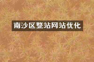 南沙区整站网站优化