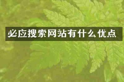 必应搜索网站有什么优点