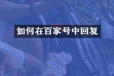 如何在百家号中回复