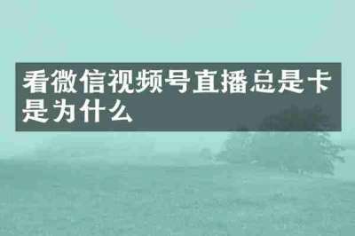 看微信视频号直播总是卡是为什么