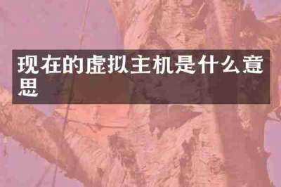 现在的虚拟主机是什么意思