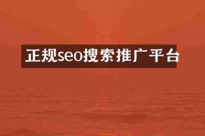 正规seo搜索推广平台