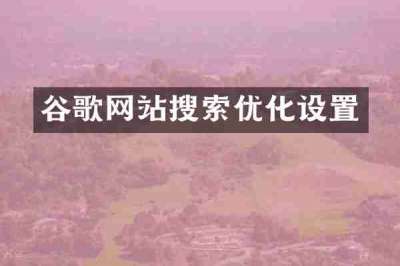 谷歌网站搜索优化设置