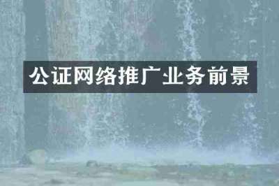 公证网络推广业务前景