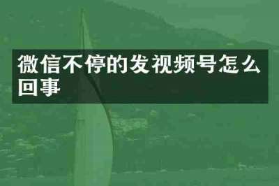 微信不停的发视频号怎么回事