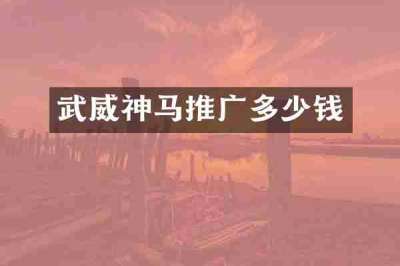 武威神马推广多少钱