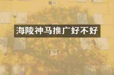 海陵神马推广好不好