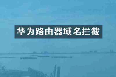 华为路由器域名拦截