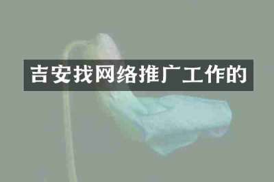 吉安找网络推广工作的