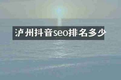 泸州抖音seo排名多少