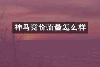 神马竞价流量怎么样