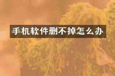 手机软件删不掉怎么办