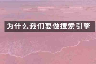 为什么我们要做搜索引擎