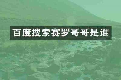 百度搜索赛罗哥哥是谁