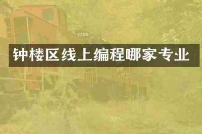 钟楼区线上编程哪家专业