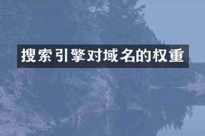 搜索引擎对域名的权重