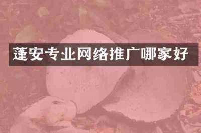 蓬安专业网络推广哪家好