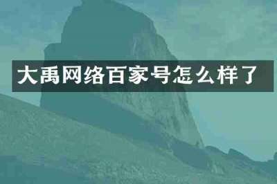 大禹网络百家号怎么样了