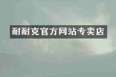 耐耐克官方网站专卖店