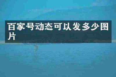 百家号动态可以发多少图片