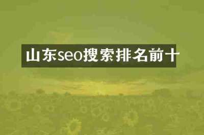山东seo搜索排名前十
