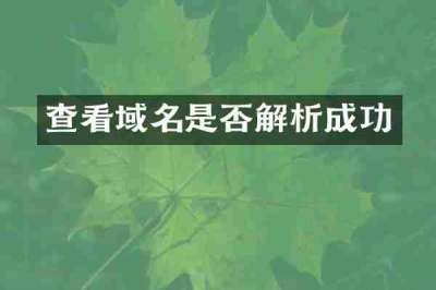 查看域名是否解析成功