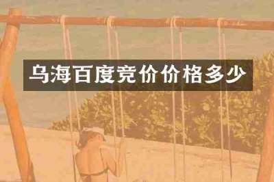 乌海百度竞价价格多少