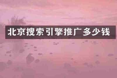 北京搜索引擎推广多少钱