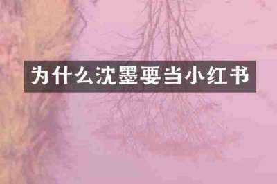 为什么沈墨要当小红书