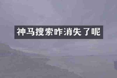 神马搜索咋消失了呢