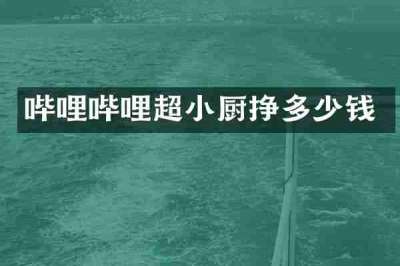 哔哩哔哩超小厨挣多少钱