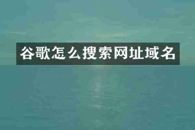 谷歌怎么搜索网址域名