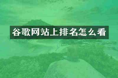 谷歌网站上排名怎么看