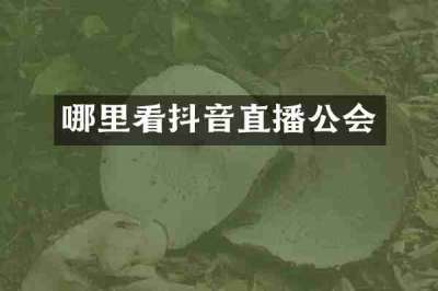 哪里看抖音直播公会
