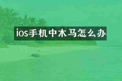 ios手机中木马怎么办