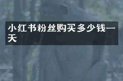 小红书粉丝购买多少钱一天