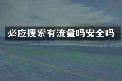 必应搜索有流量吗安全吗