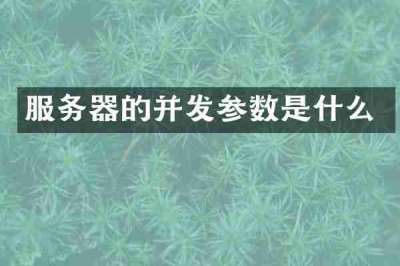服务器的并发参数是什么